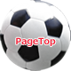 pagetop